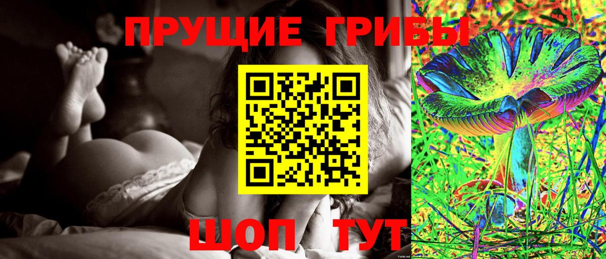 Псилоцибиновые грибы Psilocybe  Псилоцибиновые грибы Psilocybine cubensis  Вход с VPN  Таганрог 